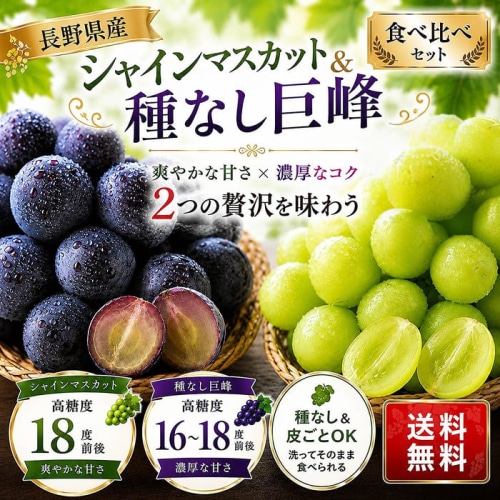 [予約直送]長野県産 シャインマスカット 種無し巨峰ぶどう 各1房 詰め合わせセット 送料無料 【綿半お中元】【7月後半～8月中旬順次発送】【配送指定日不可】
